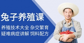 兔子养殖技术课
