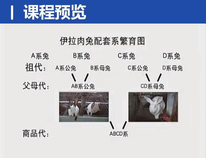 QQ20250313-213204.jpg
