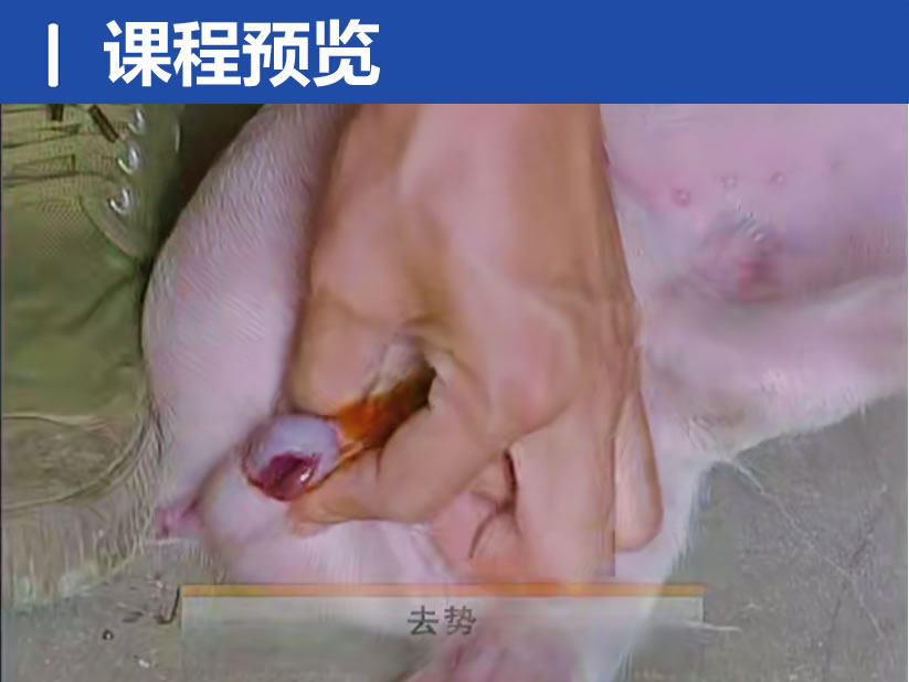 QQ20250313-220800.jpg