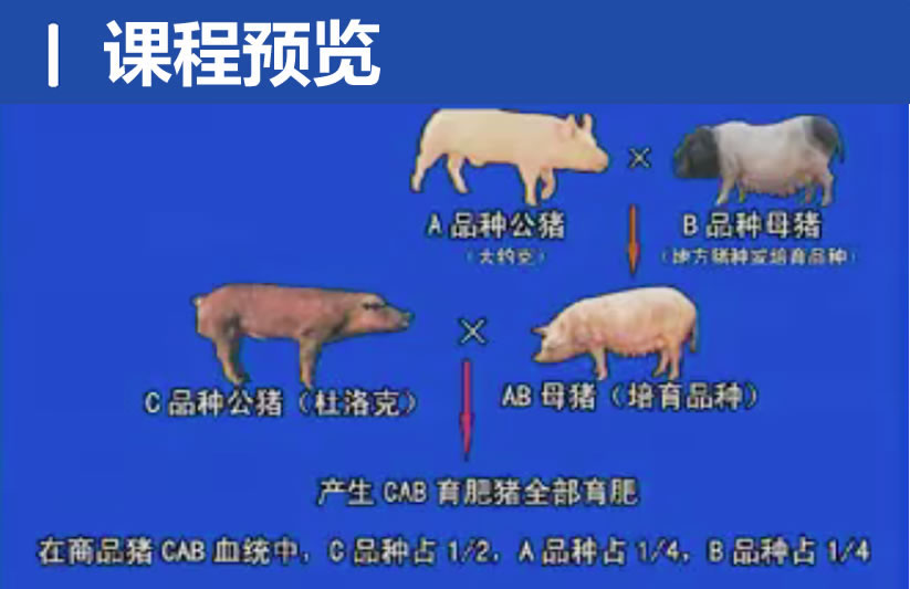 QQ20250313-221300.jpg