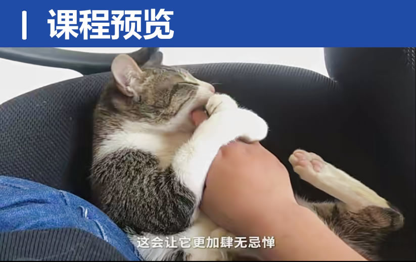 QQ20250315-205933.jpg