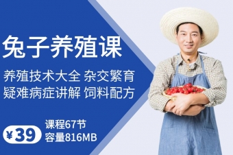 兔子养殖技术课